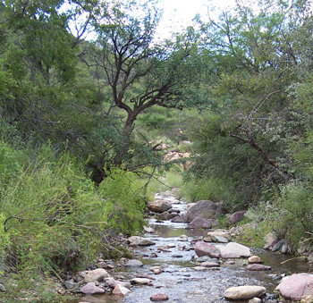 HABITAT