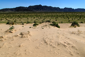 HABITAT