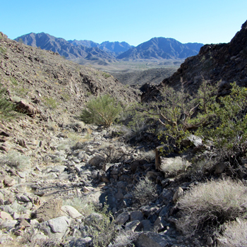 HABITAT Yuma County, AZ