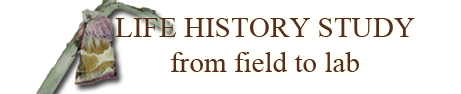 Life History Study