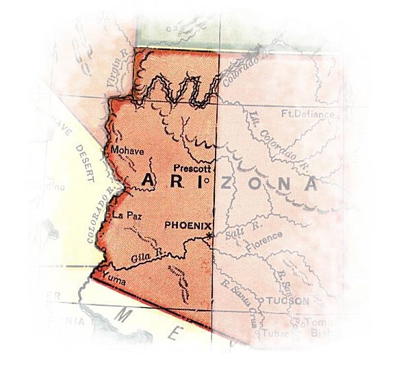 Moths of western Arizona